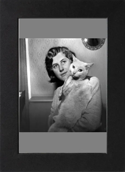 Impresión enmarcada : Gente con Animales: Una Mujer sosteniendo a su gato de compañía. Noviembre 1969 Z10902 Impresión enmarcada : Gente con Animales: Una Mujer sosteniendo a su gato de compañía. Noviembre 1969 Z10902