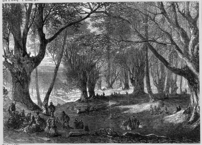 Impresión enmarcada : Boveda de Epping