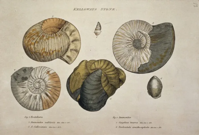 Impresión enmarcada : Piedra Kelloway
