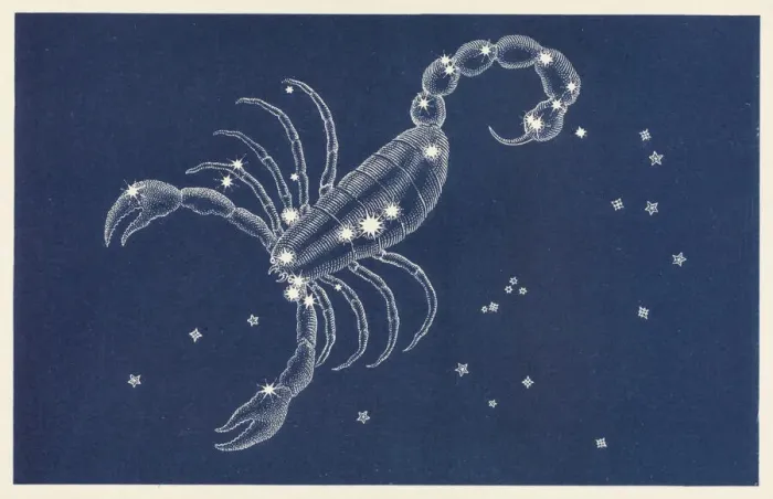 Impresión enmarcada : Scorpio. La constelación Escorpión