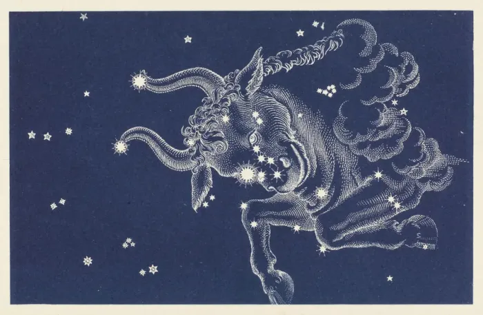 Impresión enmarcada : Taurus. La constelación de Tauro