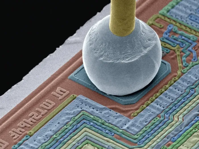 Impresión enmarcada : Conector de chip, SEM Impresión enmarcada : Conector de chip, SEM