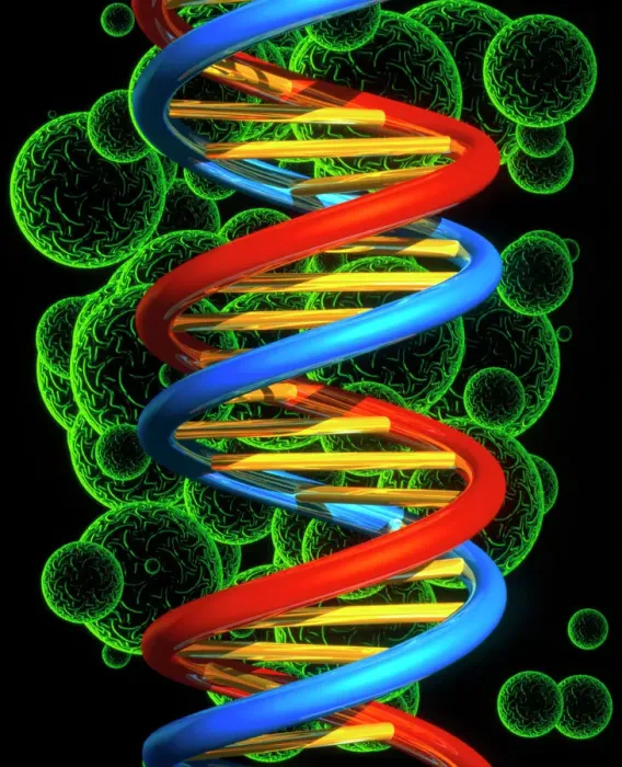 Impresión enmarcada : Artefacto de computadora de un segmento β-DNA y esferas