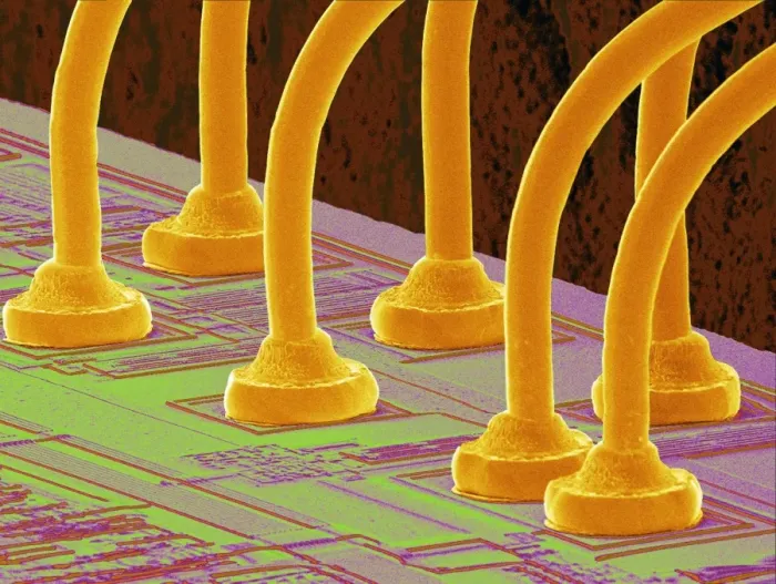Impresión enmarcada : Chip de computadora, SEM Impresión enmarcada : Chip de computadora, SEM