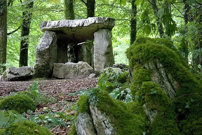 Impresión enmarcada : Dolmen. El dolmen en el proyecto Craggaunowen en Condado de Clare, Irlanda