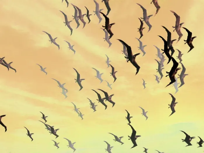 Impresión enmarcada : Pterosaurs