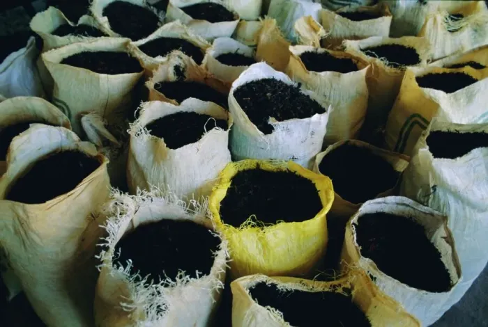 Impresión enmarcada : Sacos de té