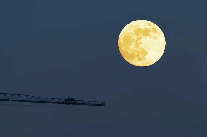 Impresión enmarcada : Luna y grulla.