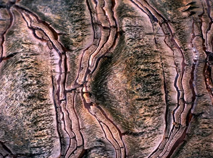 Impresión enmarcada : Textura - abstracta. Impresión enmarcada : Textura - abstracta.