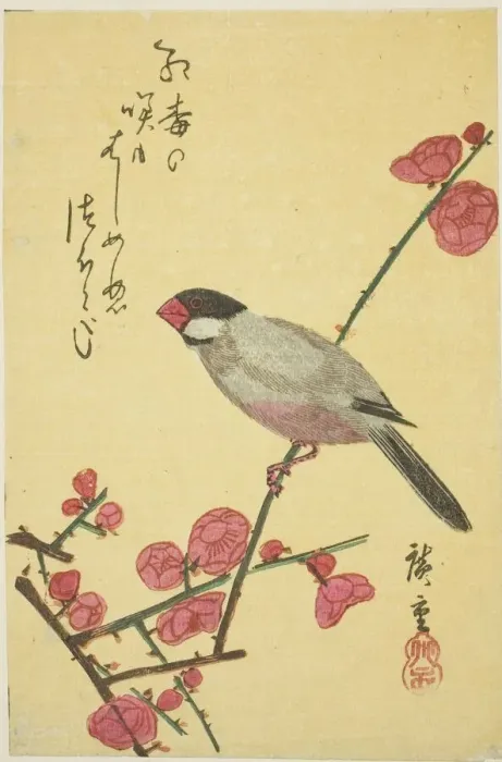 Impresión enmarcada : Pájaros de Java sobre rama de ciruela, 1830. Creador: Ando Hiroshige.