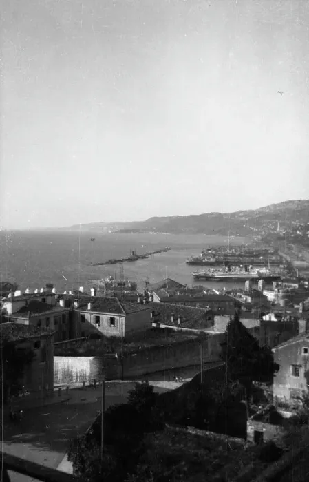 Impresión enmarcada : Vista de Trieste