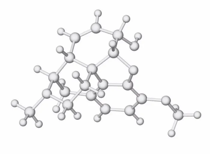 Impresión enmarcada : Códigoina, modelo molecular. Impresión enmarcada : Códigoina, modelo molecular.