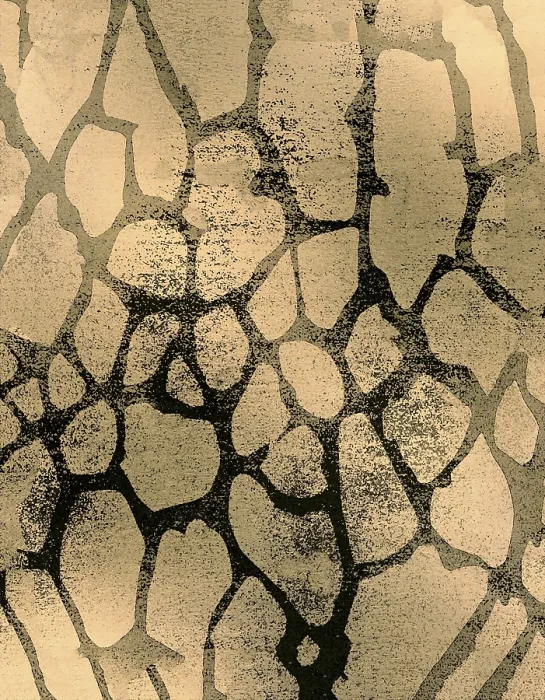 Impresión enmarcada : Patrón abstracto con elementos orgánicos. Impresión enmarcada : Patrón abstracto con elementos orgánicos.