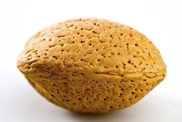 Impresión enmarcada : Nuez de almendra Impresión enmarcada : Nuez de almendra