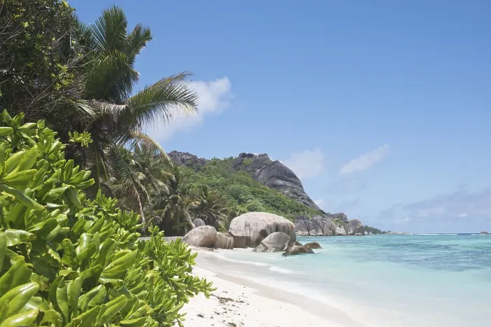 Impresión enmarcada : Playa Anse Source d'Argent Impresión enmarcada : Playa Anse Source d'Argent