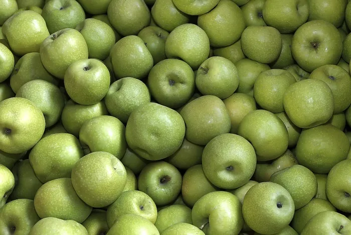 Impresión enmarcada : Apples