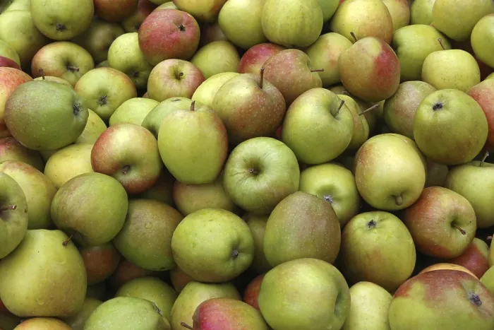 Impresión enmarcada : Apples Impresión enmarcada : Apples