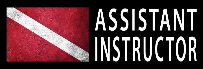 Impresión enmarcada : Asistente Instructor, Bandera de Bajo. Impresión enmarcada : Asistente Instructor, Bandera de Bajo.