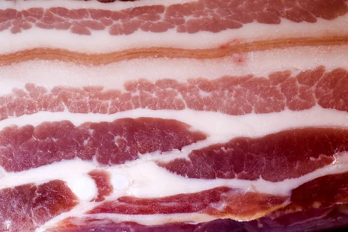 Impresión enmarcada : Bacon Impresión enmarcada : Bacon