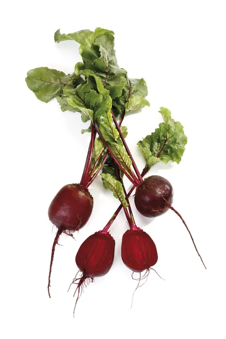 Impresión enmarcada : Beetroot Impresión enmarcada : Beetroot