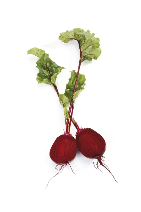 Impresión enmarcada : Beetroot Impresión enmarcada : Beetroot