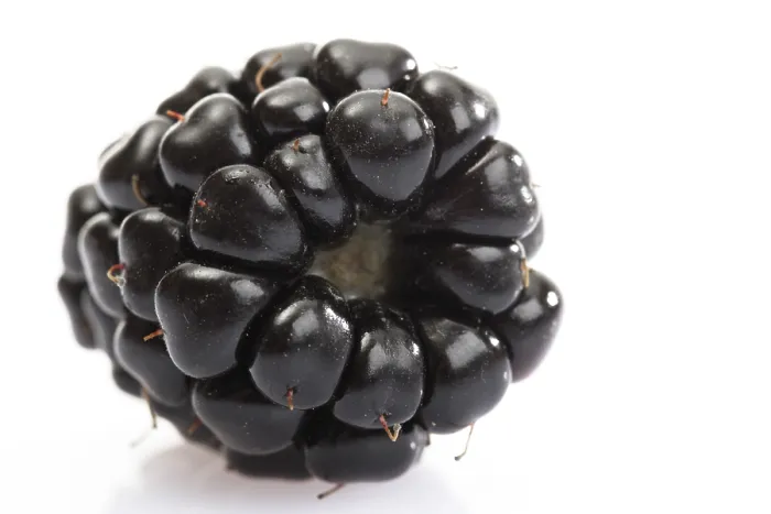 Impresión enmarcada : Blackberry