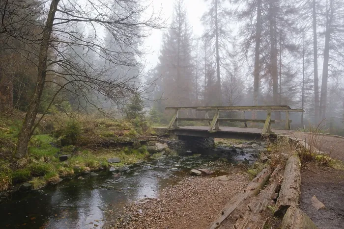 Impresión enmarcada : Puente en el Oderteich, Nebel.