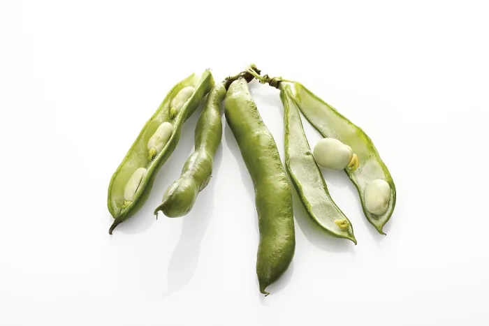 Impresión enmarcada : Frijoles anchos Impresión enmarcada : Frijoles anchos