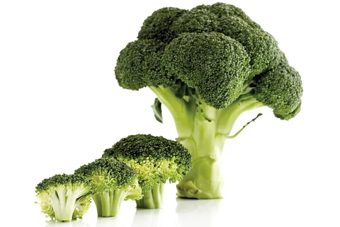 Impresión enmarcada : Broccoli Impresión enmarcada : Broccoli