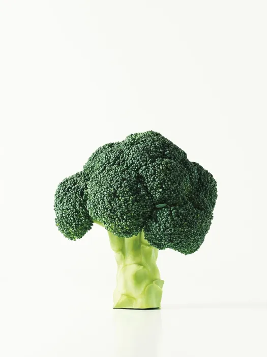 Impresión enmarcada : Broccoli Impresión enmarcada : Broccoli
