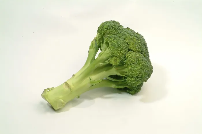 Impresión enmarcada : Broccoli Impresión enmarcada : Broccoli