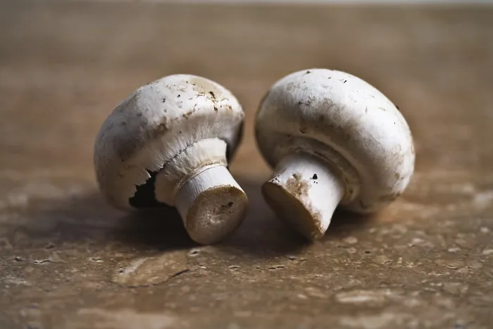 Impresión enmarcada : Setas de champiñón. Impresión enmarcada : Setas de champiñón.