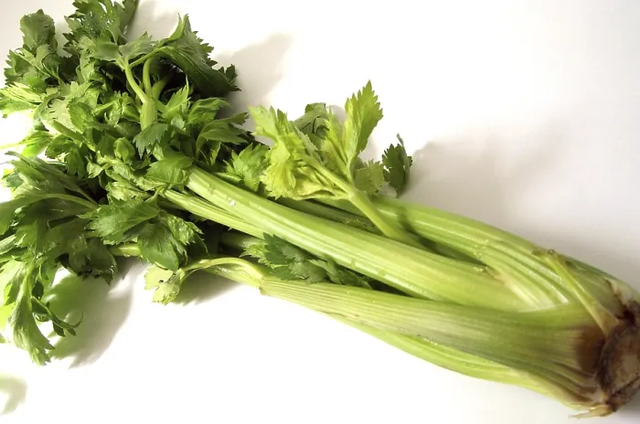 Impresión enmarcada : Celeriac