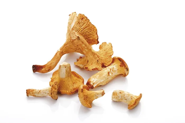 Impresión enmarcada : Chanterelles
