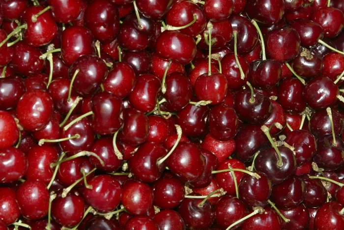 Impresión enmarcada : Cherries