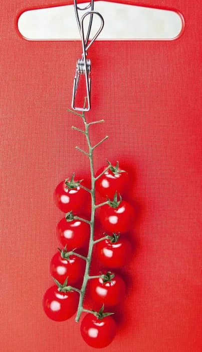 Impresión enmarcada : Tomates cherry.