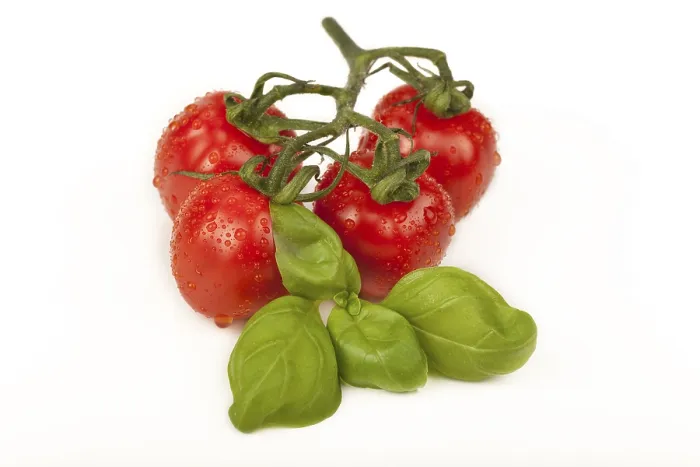 Impresión enmarcada : Tomates cherry con albahaca. Impresión enmarcada : Tomates cherry con albahaca.