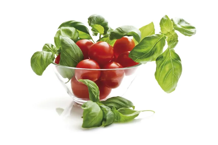 Impresión enmarcada : Tomates cherry con albahaca.