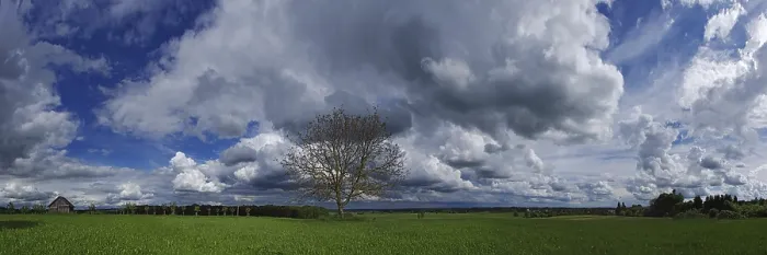 Impresión enmarcada : Formaciones de nubes con árbol.