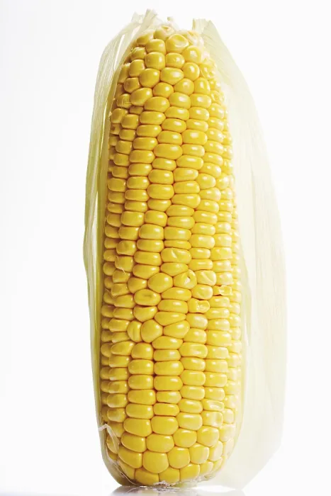 Impresión enmarcada : El grano de maíz. Impresión enmarcada : El grano de maíz.