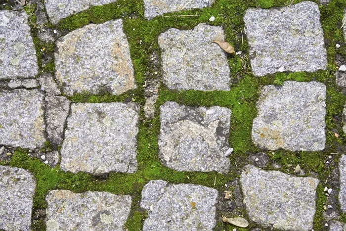 Impresión enmarcada : Cobbles Impresión enmarcada : Cobbles