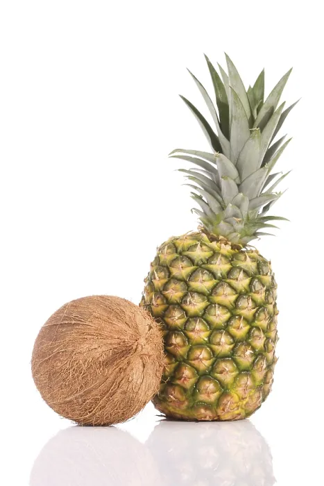 Impresión enmarcada : Coco y piña. Impresión enmarcada : Coco y piña.