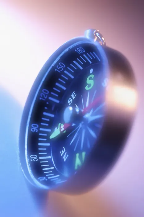Impresión enmarcada : Compass Impresión enmarcada : Compass