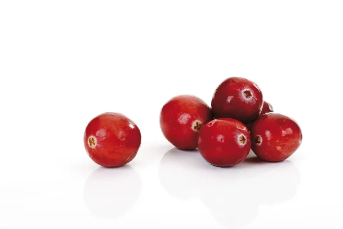 Impresión enmarcada : Cranberries Impresión enmarcada : Cranberries