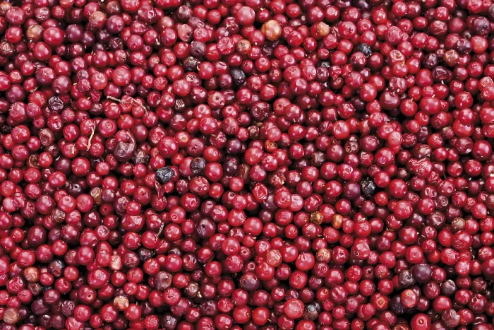 Impresión enmarcada : Fresas, enmarcada. Impresión enmarcada : Fresas, enmarcada.