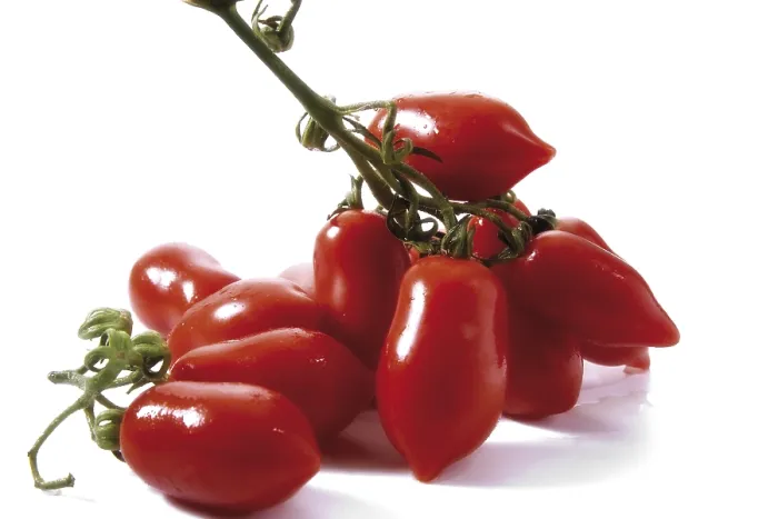 Impresión enmarcada : Dale tomates. Impresión enmarcada : Dale tomates.