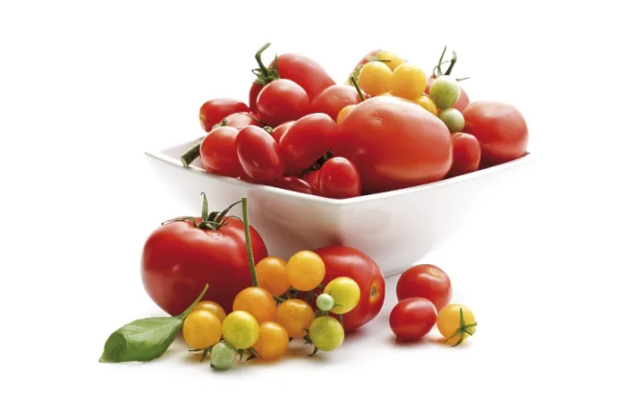 Impresión enmarcada : Tipos de tomate diferentes.
