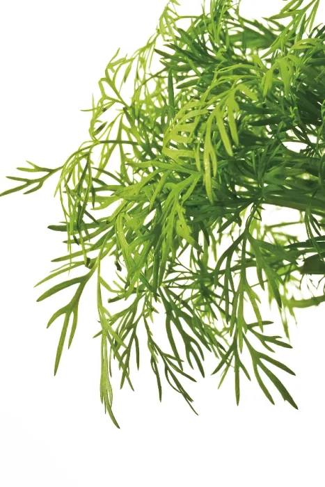 Impresión enmarcada : Dill