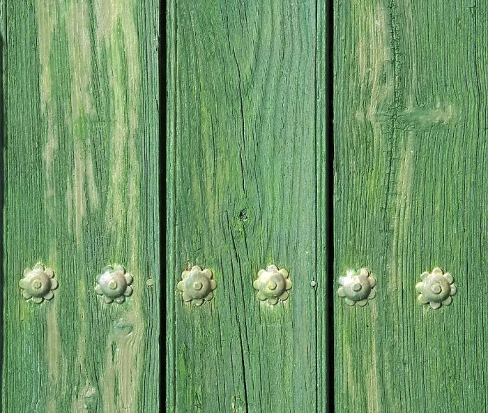 Impresión enmarcada : Detalle de la puerta.