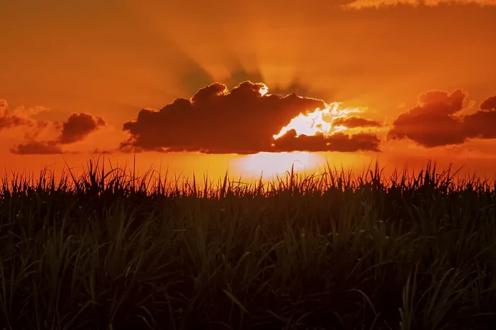 Impresión enmarcada : Puesta de sol dramática detrás de las nubes, Chebel.